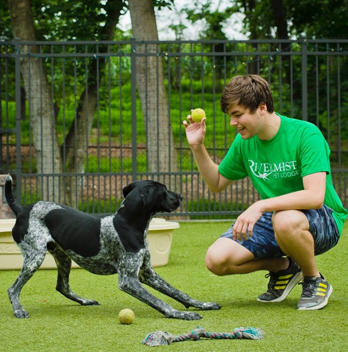 young man playing with a dog at rivermist pet lodge playground