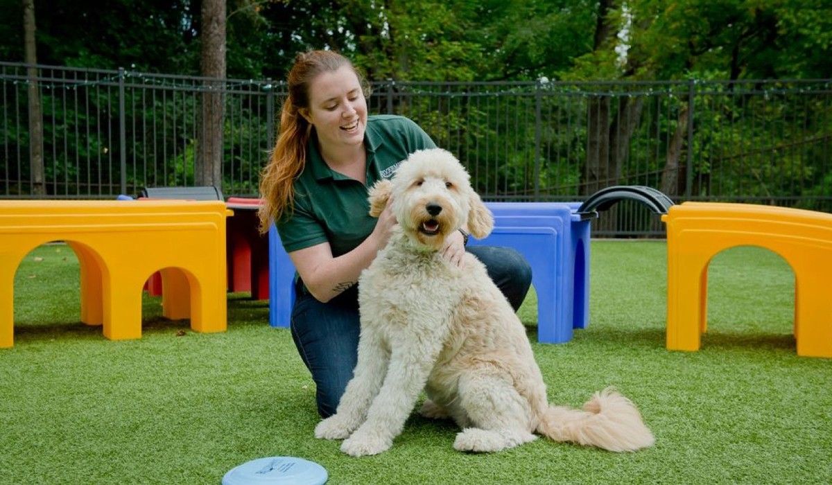 rivermist-pet-employee-playing-with-a-furry-dog