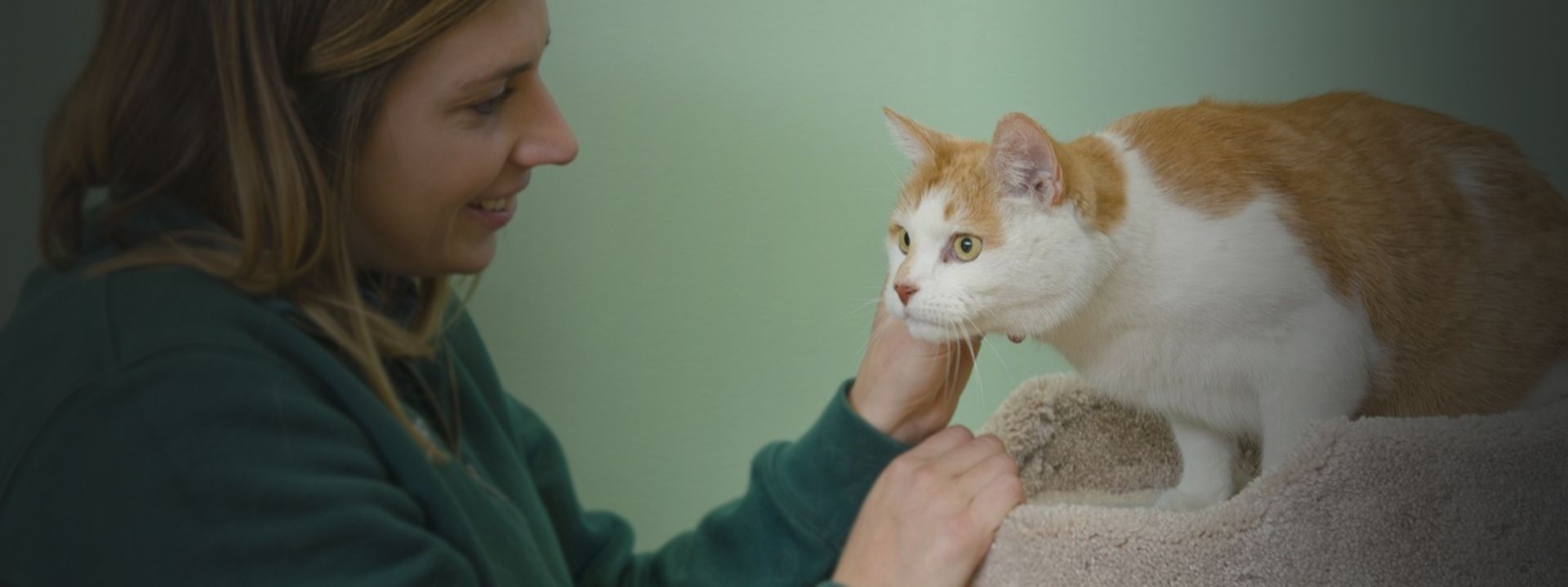 rivermist pet lodge employee petting white and orange cat